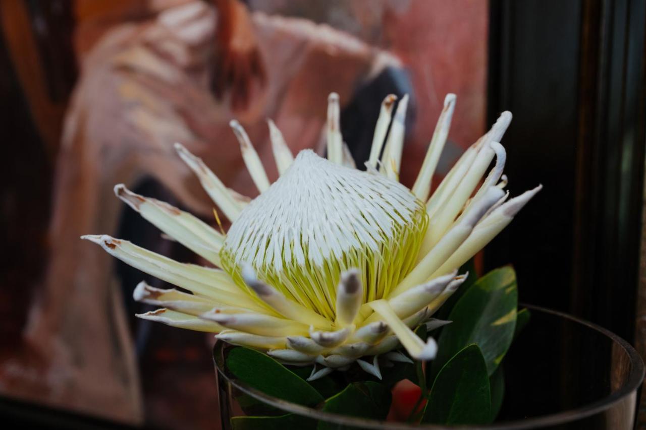 Terra Casa Guesthouse Rustenburg Kültér fotó