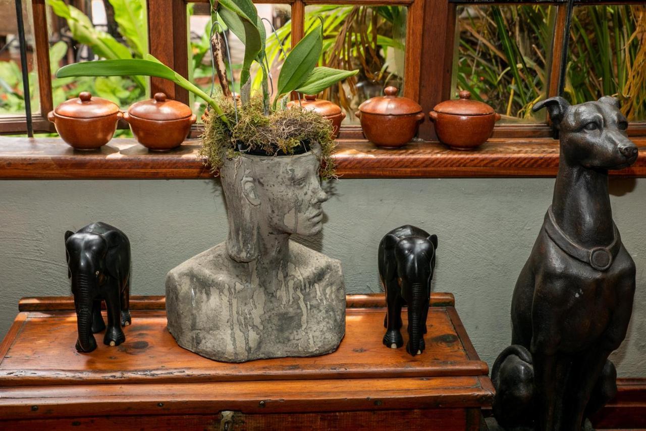 Terra Casa Guesthouse Rustenburg Kültér fotó